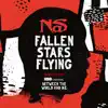 Nas - Fallen Stars Flying (Original Song From Between The World And Me) - Single